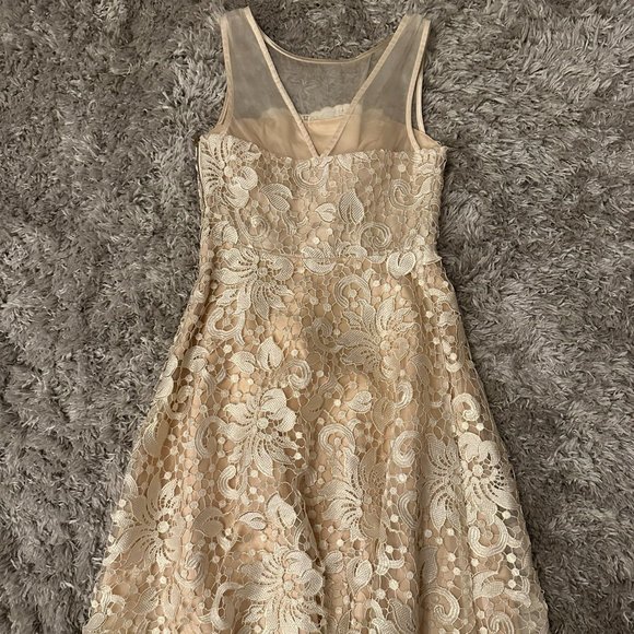 Eva Franco Lace and Silk Fit and Flare Dress - Picture 2 of 4